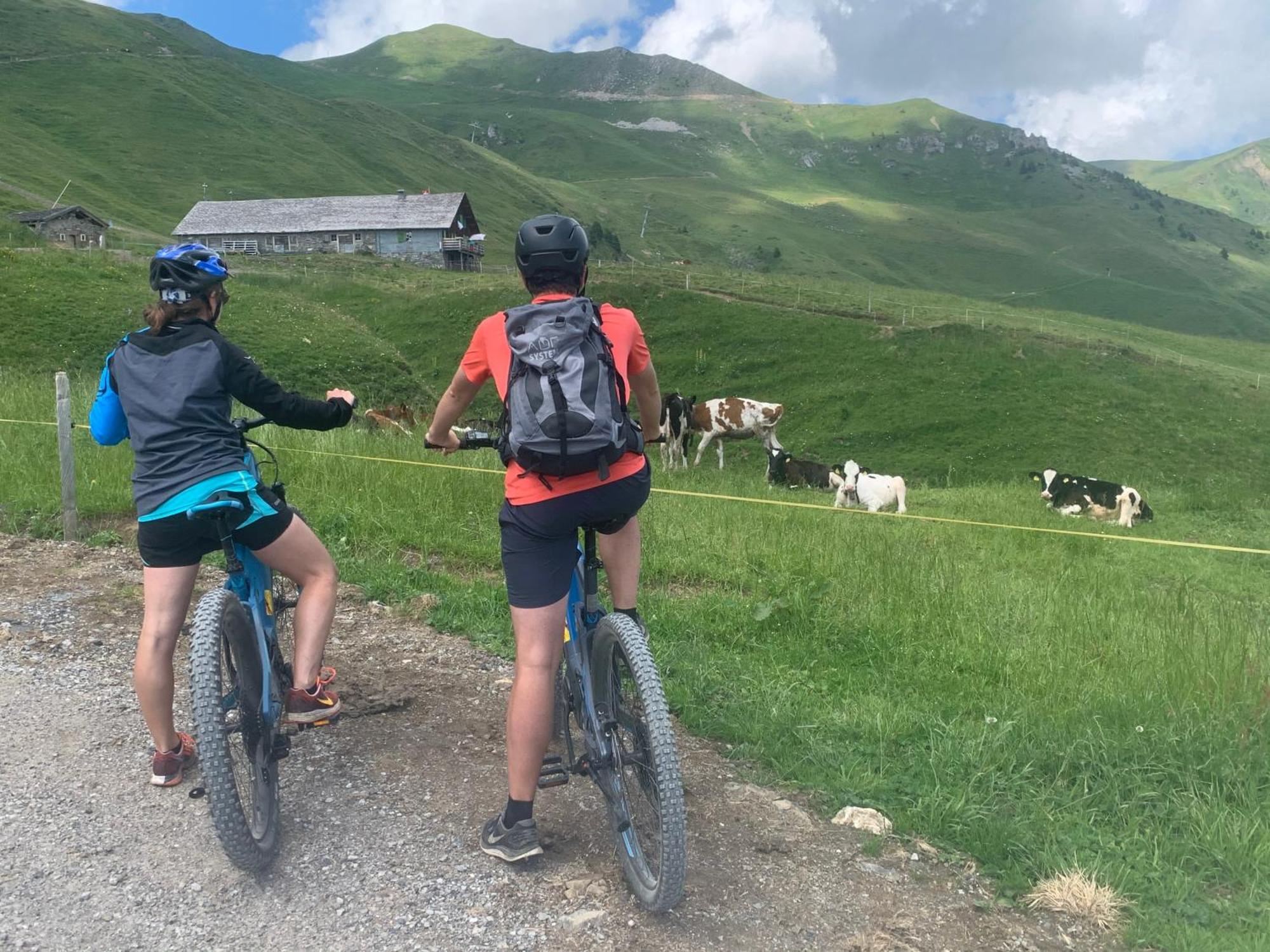 Chalet Montriond - Bike & Ski ليه كروسيت المظهر الخارجي الصورة